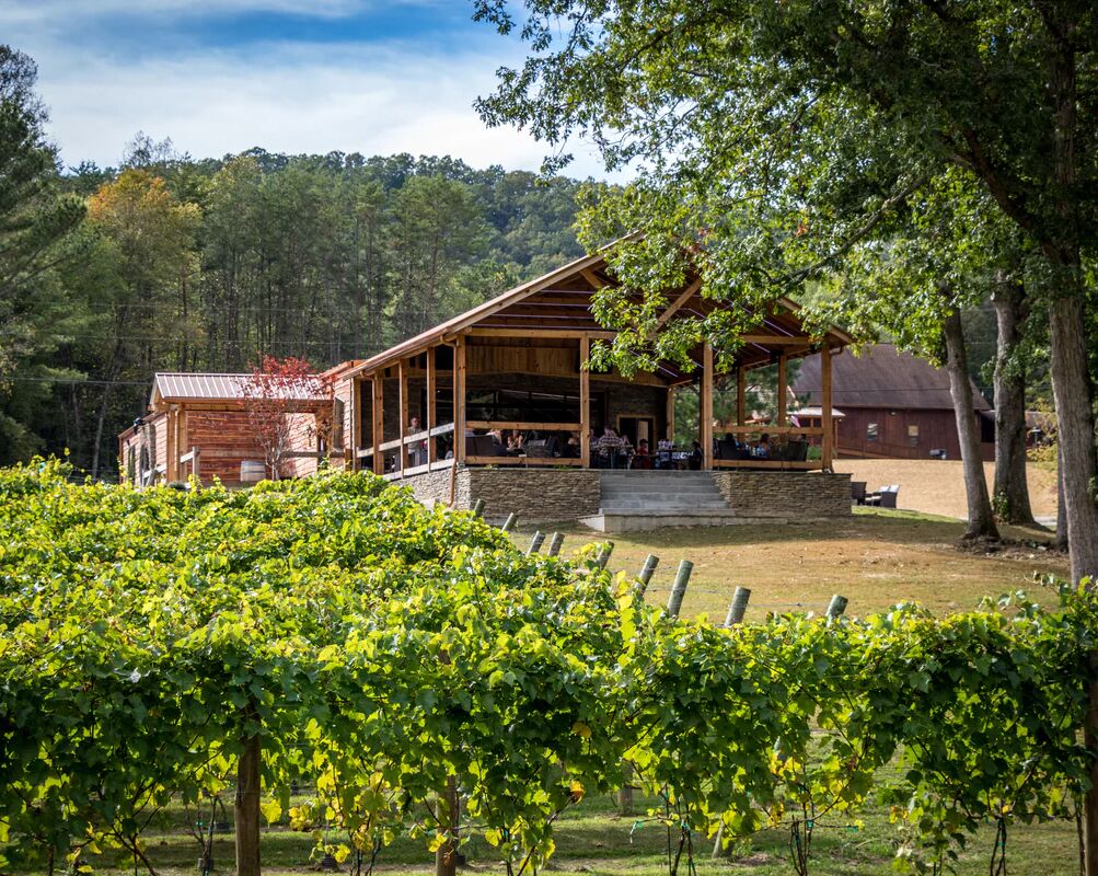 Picture of Bearclaw Vineyards