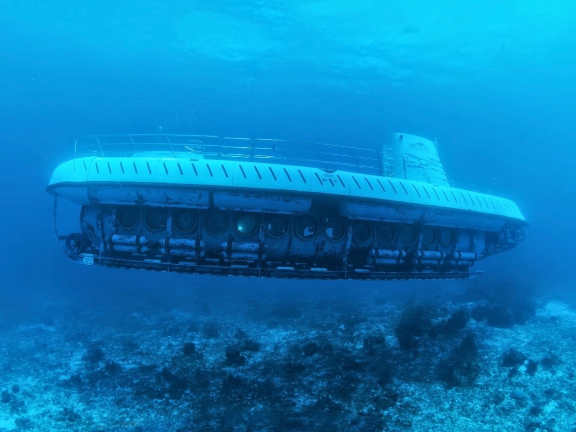 Picture of Atlantis Submarines Cozumel