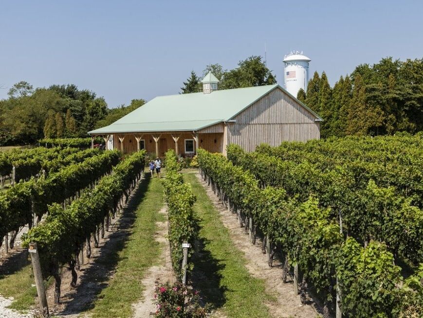 Picture of Cape May Winery