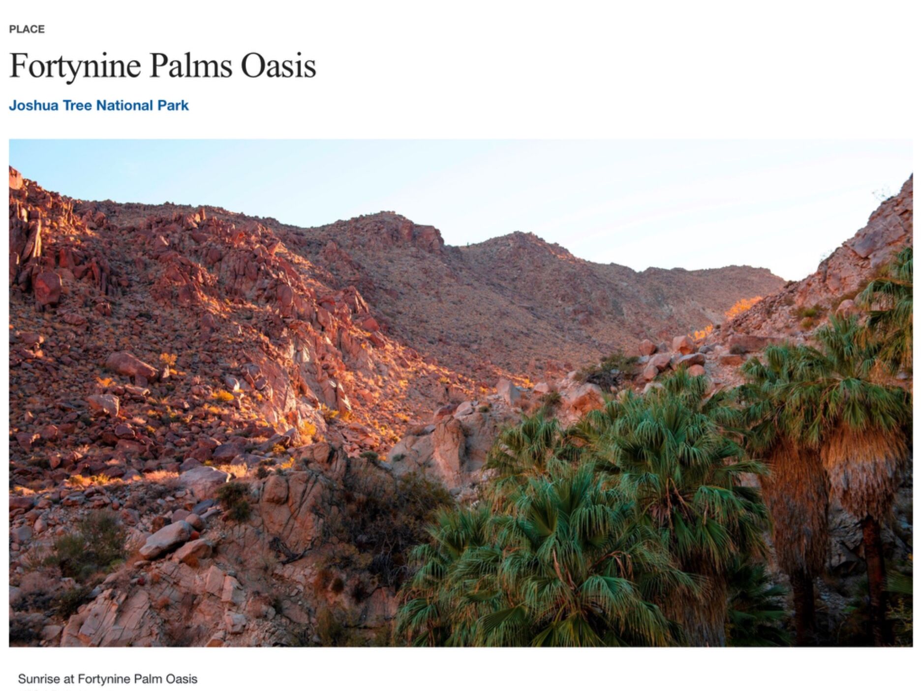 Picture of Oasis Trail