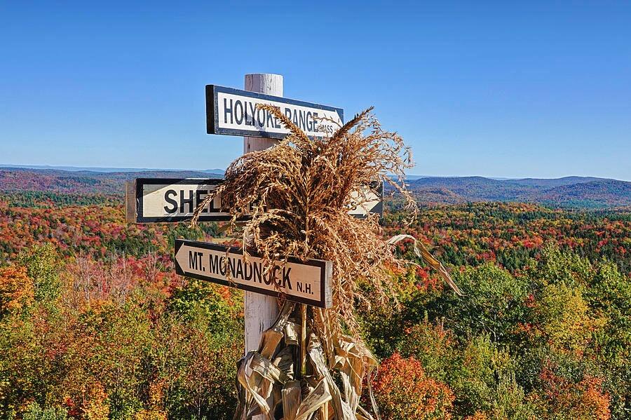 Picture of Hogback Mountain Conservation Area