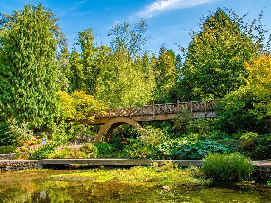Picture of Crystal Springs Rhododendron Garden
