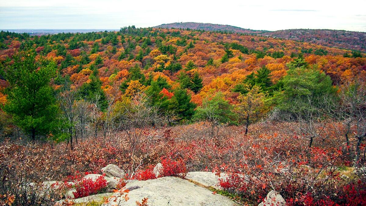Picture of Blue Hills Reservation