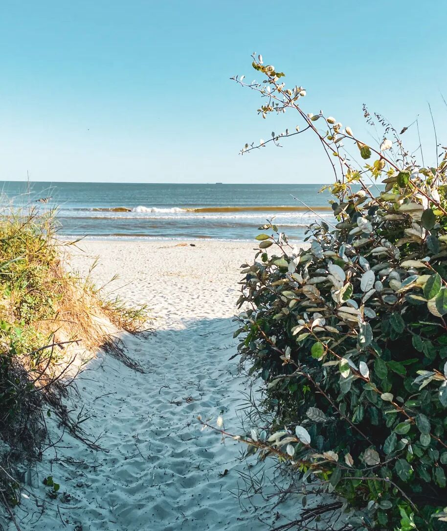 Picture of Sullivans Island (Beach)