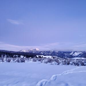 Gallery Photo 11