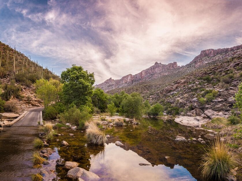 Picture of Sabino Canyon Recreation Area