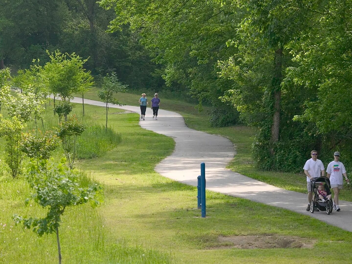 Picture of Terry Hershey Hike Trail