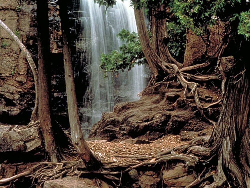 Picture of Gooseberry Falls State Park