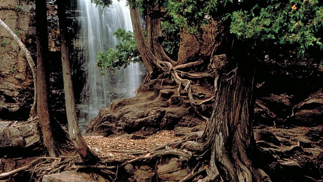 Picture of Gooseberry Falls State Park
