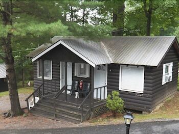Picture of Lake George Bear's Den