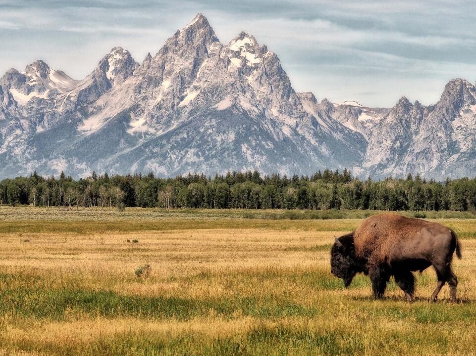 Picture of Grand Teton National Park - Hiking Trails & Overlooks