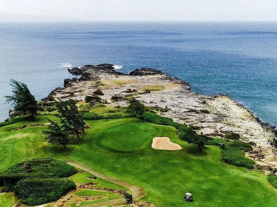 Picture of Kapalua Golf - The Plantation Course