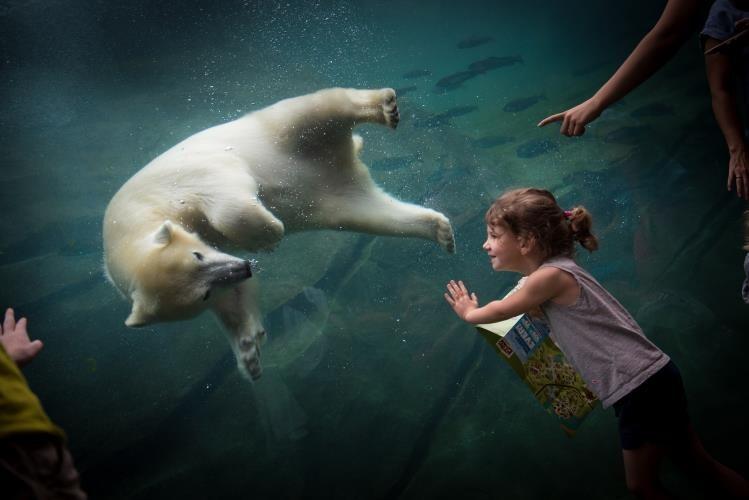 Picture of Columbus Zoo and Aquarium