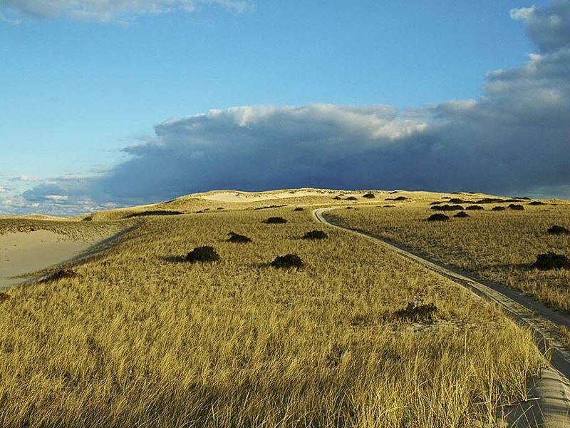 Picture of Art's Dune Tours