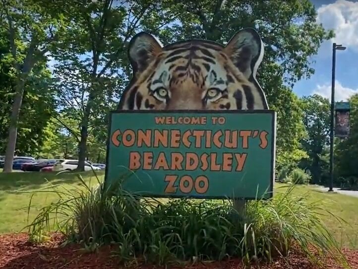 Picture of Connecticut's Beardsley Zoo