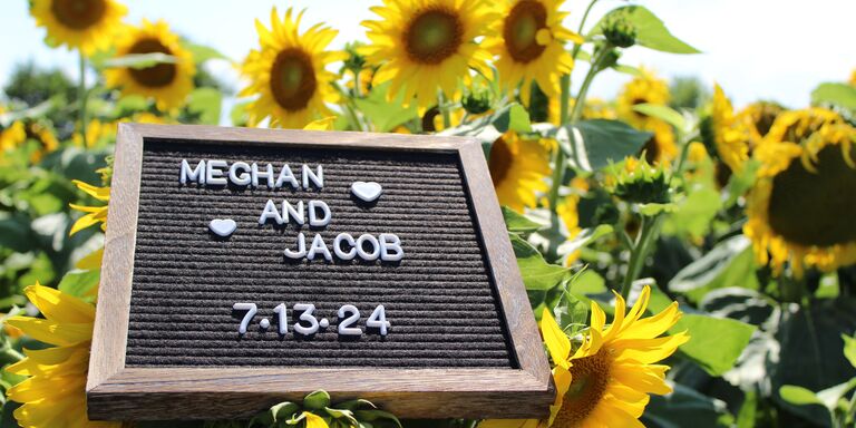 Meghan & Jacob Home Page Banner