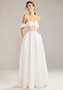 AW Bridal AW Giona Wedding Dress A-Line Wedding Dress - thumbnail - 1