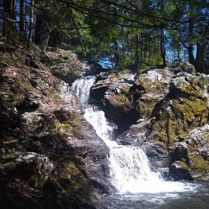 Gallery Photo 48