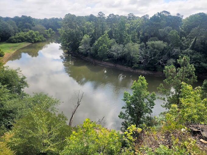 Picture of Cliffs of the Neuse State Park
