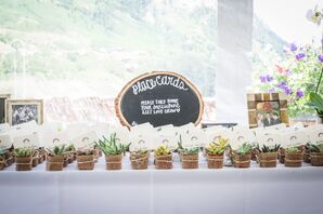 Succulent Escort Cards and Favors