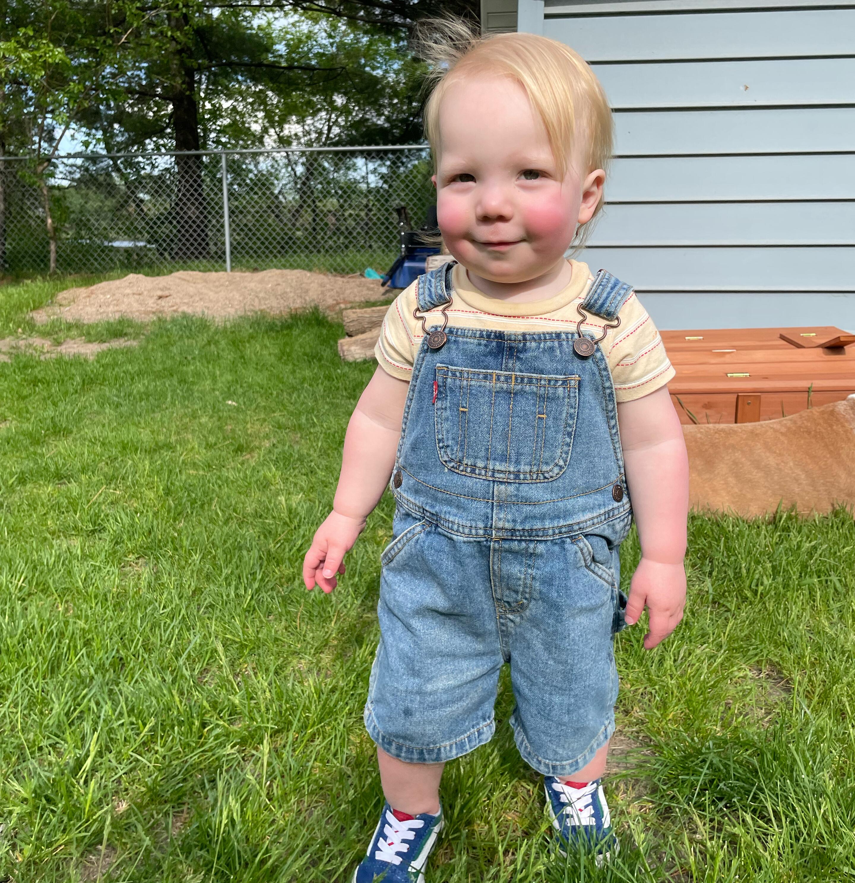 Callahan McCoy