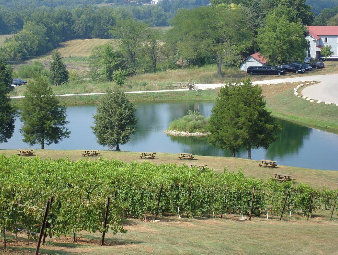 Picture of Chandler Hill Vineyards