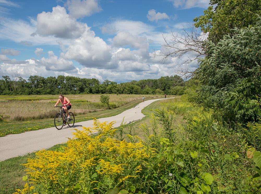 Picture of Trail and bike pathway
