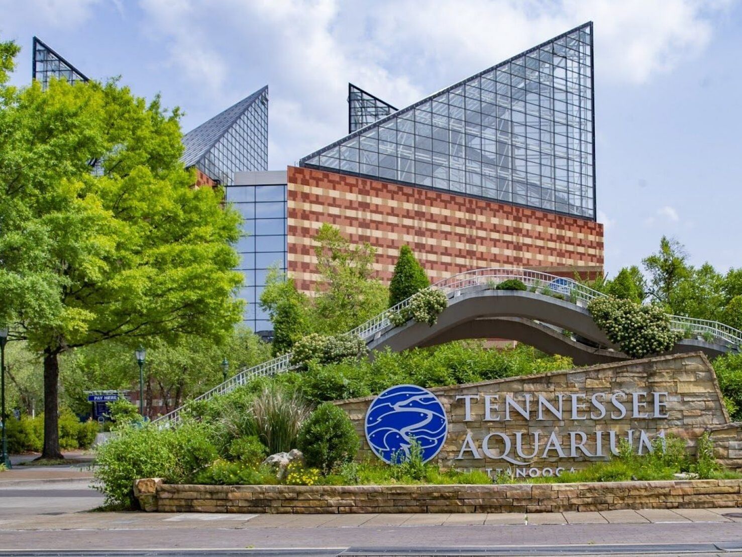 Picture of Tennessee Aquarium