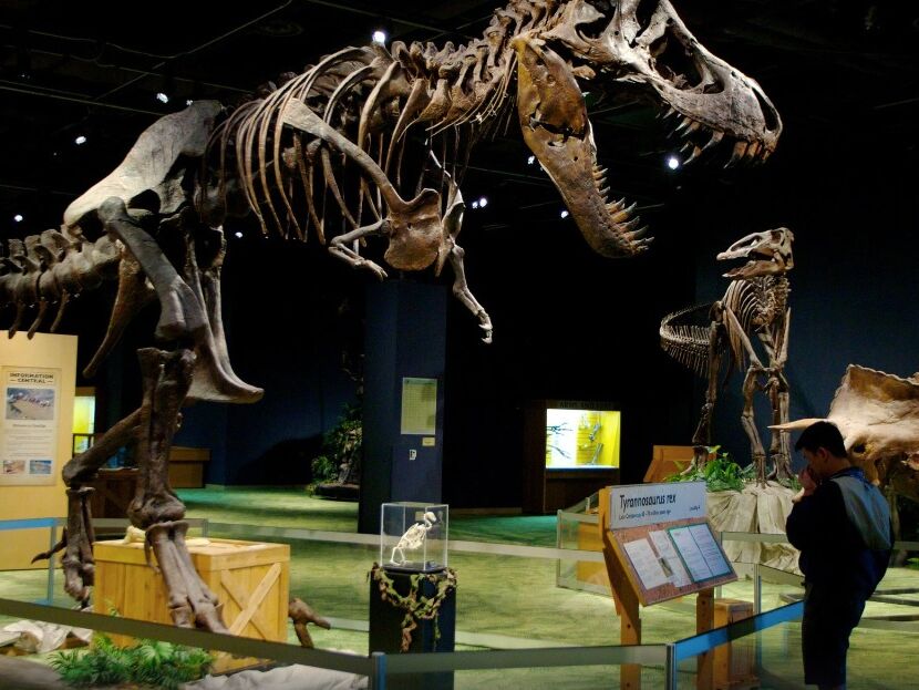 Picture of Orlando Science Center