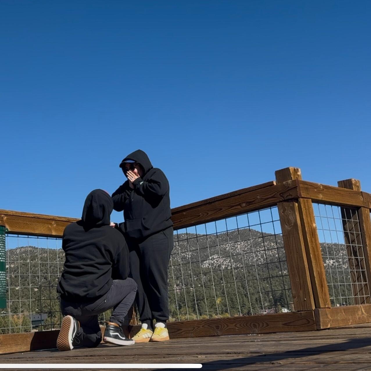 Picture of The Proposal