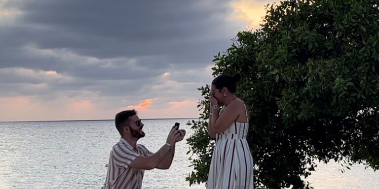 Meghan & Daniel Home Page Banner
