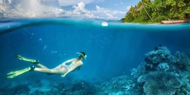 Picture of Snorkeling and Beach hopping