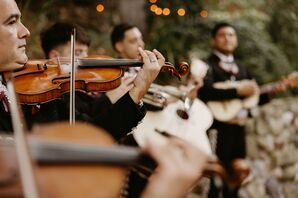 Close-Up Shot of Instruments, Violins and Guitars, in a Live Mariachi Band