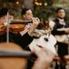 Close-Up Shot of Instruments, Violins and Guitars, in a Live Mariachi Band