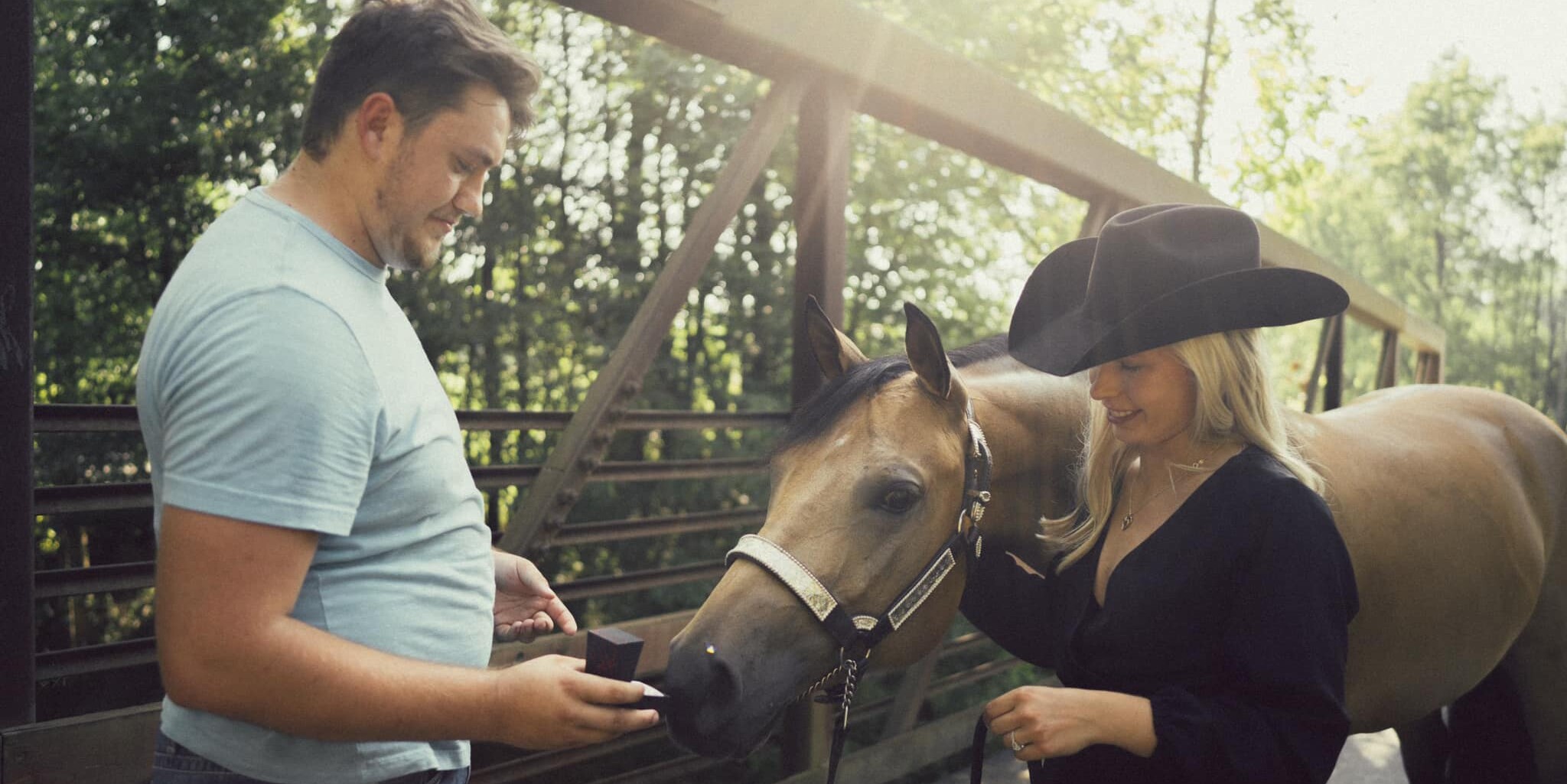 Taylor & Chase Home Page Banner