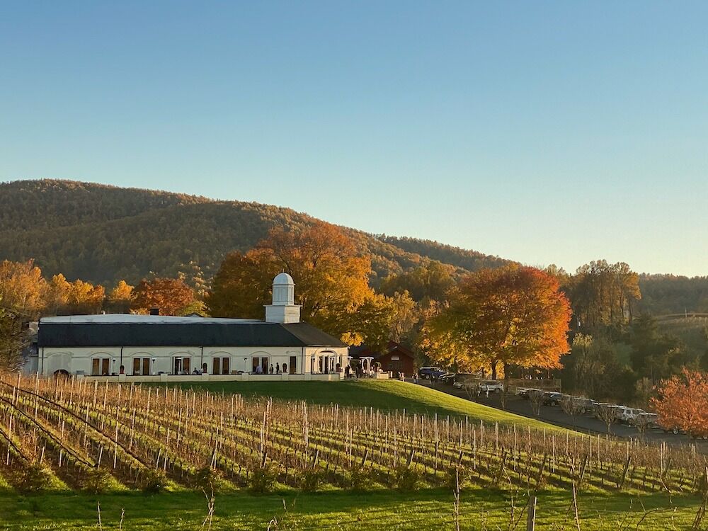 Picture of Barboursville Vineyards