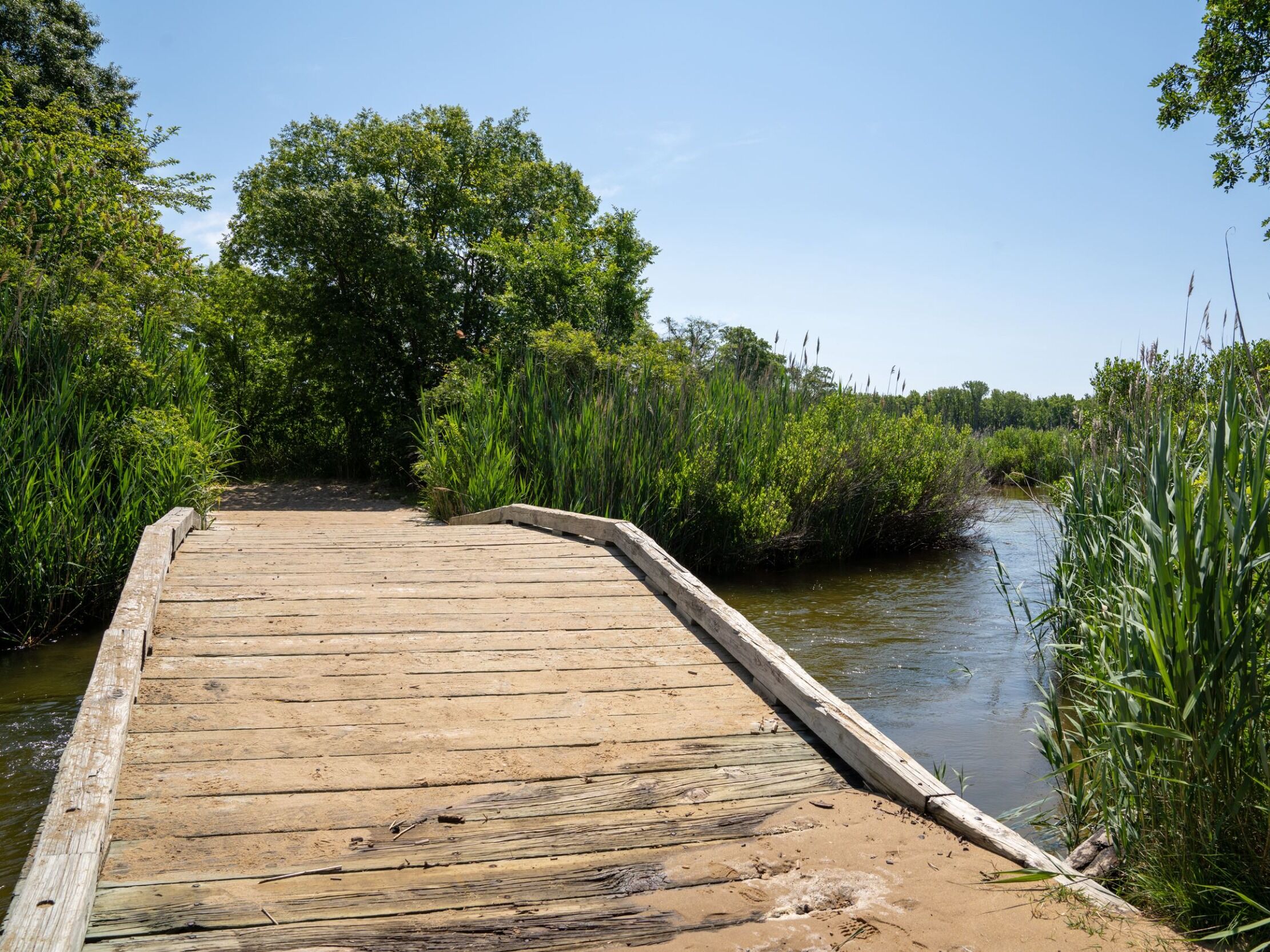 Picture of Terrapin Nature Park
