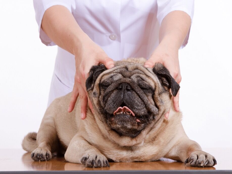 Picture of Massage