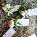 Soft Ranunculus and Rose Boutonnieres