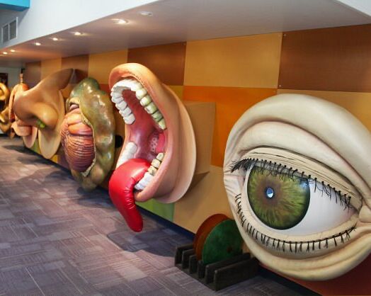 Picture of Children's Museum Tucson