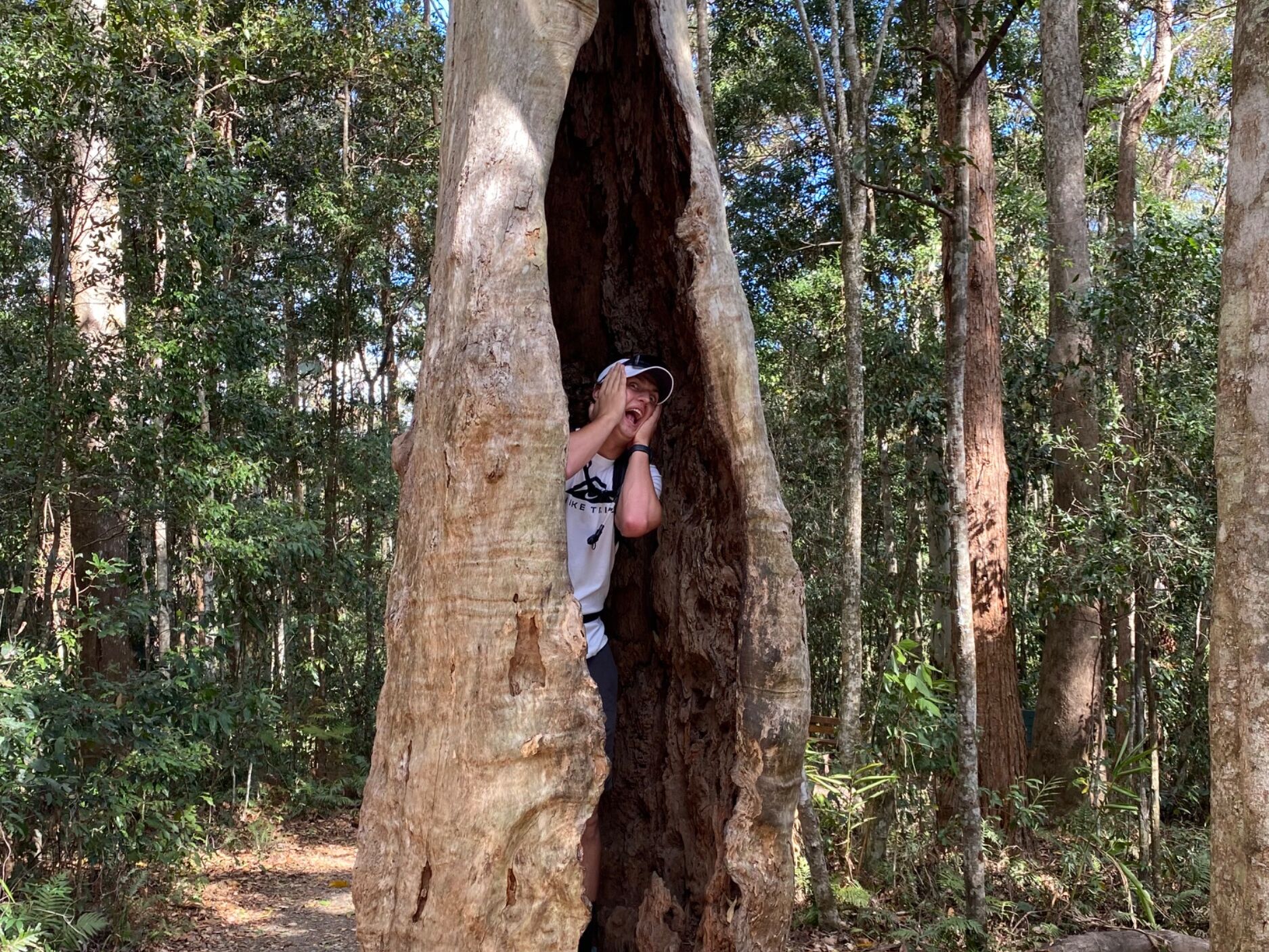 Picture of As jackson traveled Australia