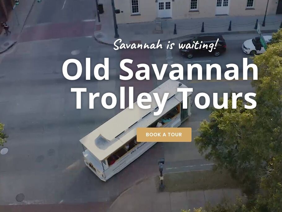 Picture of Old Savannah Tours