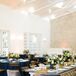Velvet Chairs for Reception at The Ivory Oak in Wimberley, Texas