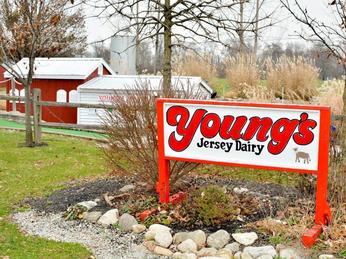 Picture of Young's Jersey Dairy