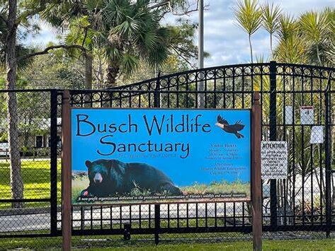Picture of Busch Wildlife Sanctuary