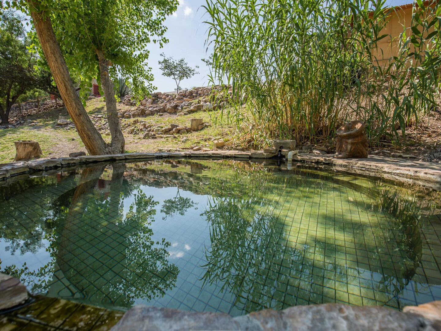 Picture of Chinati Hot Springs