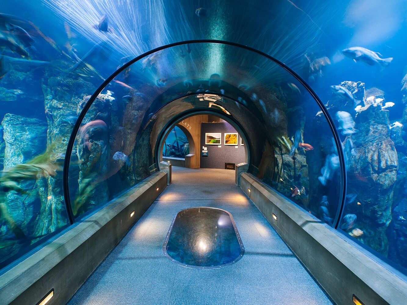 Picture of Oregon Coast Aquarium
