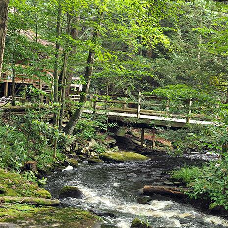 Picture of Magnolia Streamside Resort Poconos