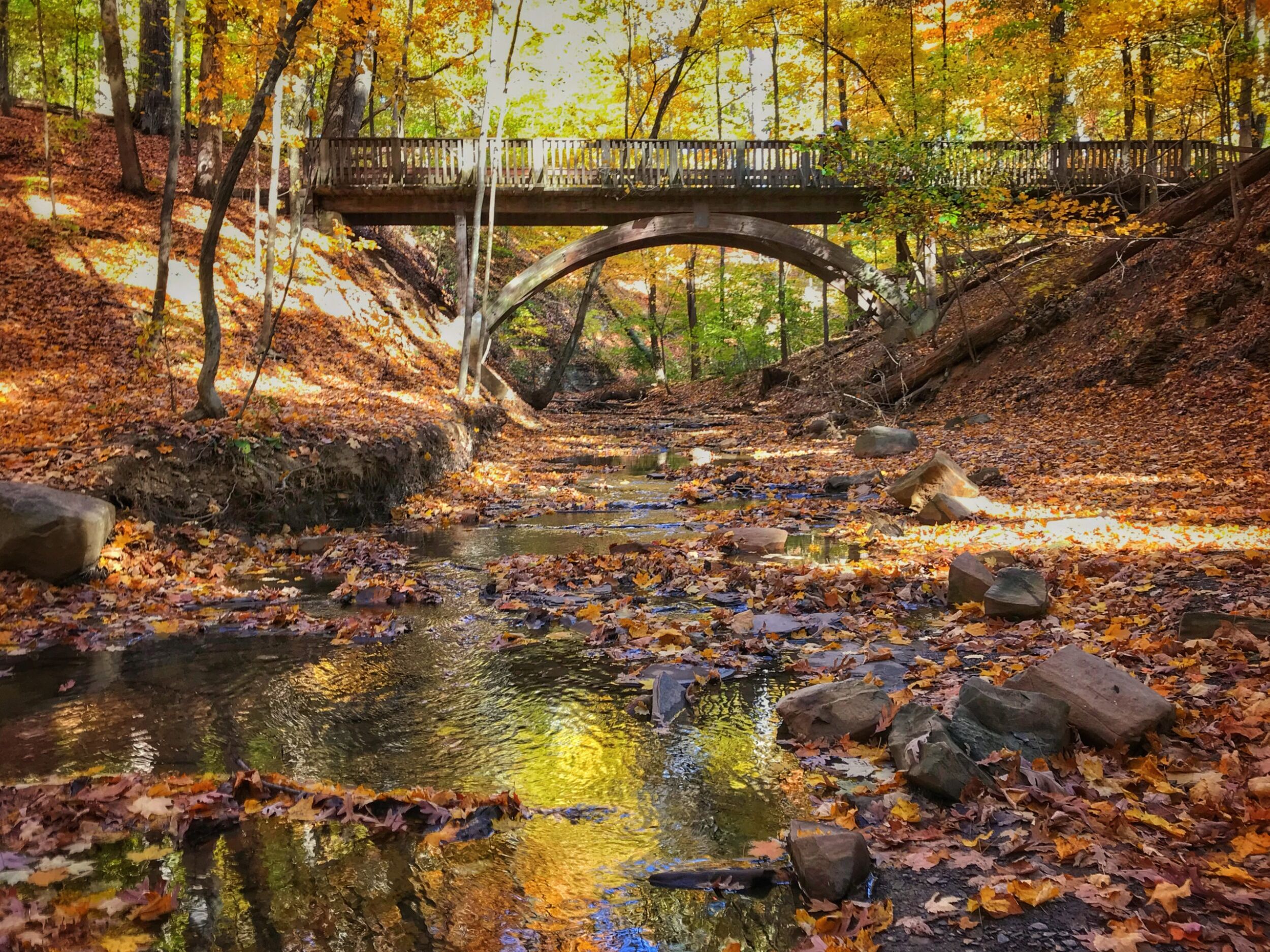 Picture of Highbanks Metro Park