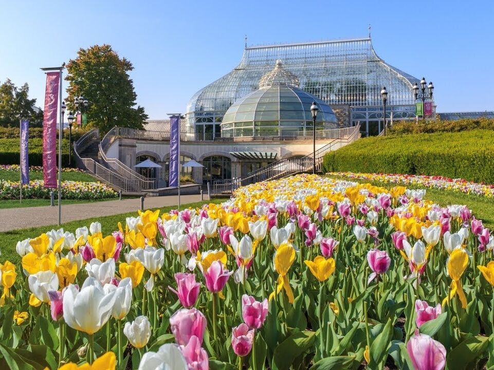 Picture of Phipps Conservatory and Botanical Gardens